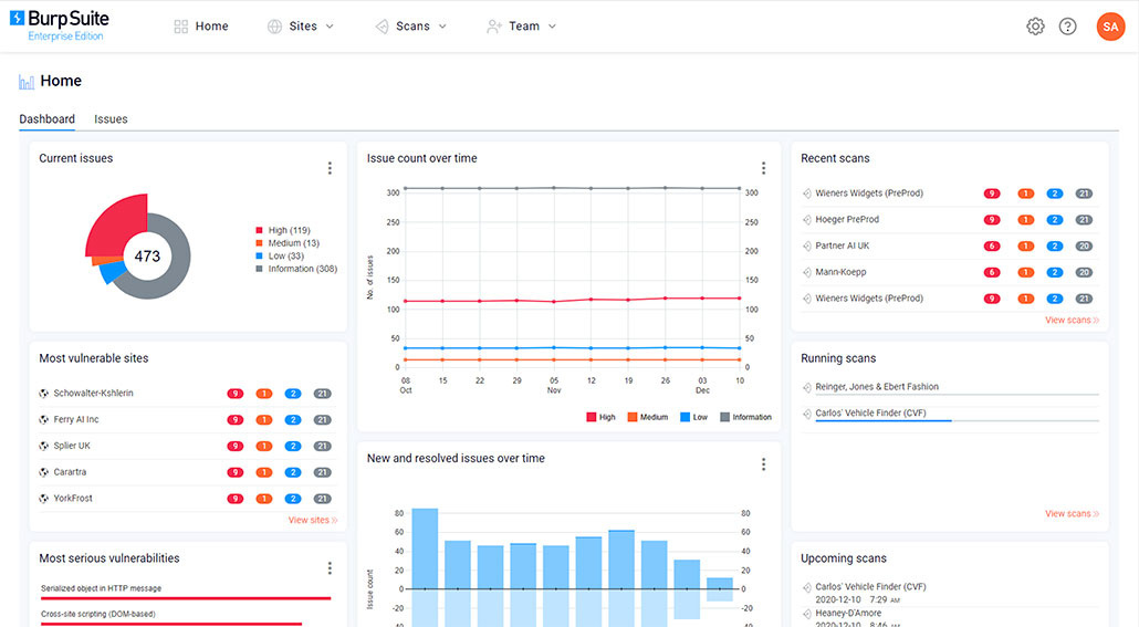 Burp Suite Professional for windows 1